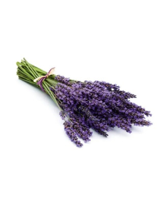 Parfum de saună - Harvia, Lavandă, 1 l AROME DE SAUNA SI ÎNGRIJIREA CORPULUI