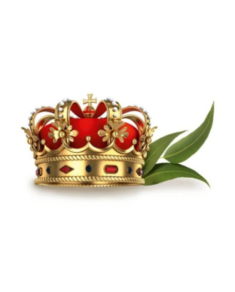 Parfum de saună - Harvia, Royal Eucalyptus, 1 l AROME DE SAUNA SI ÎNGRIJIREA CORPULUI