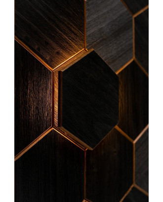 Element decorativ Hexa Thermo negru, Abachi, LED ILUMINAT SAUNA SI HAMMAM